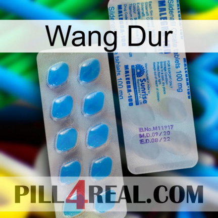 Hard Wang new15